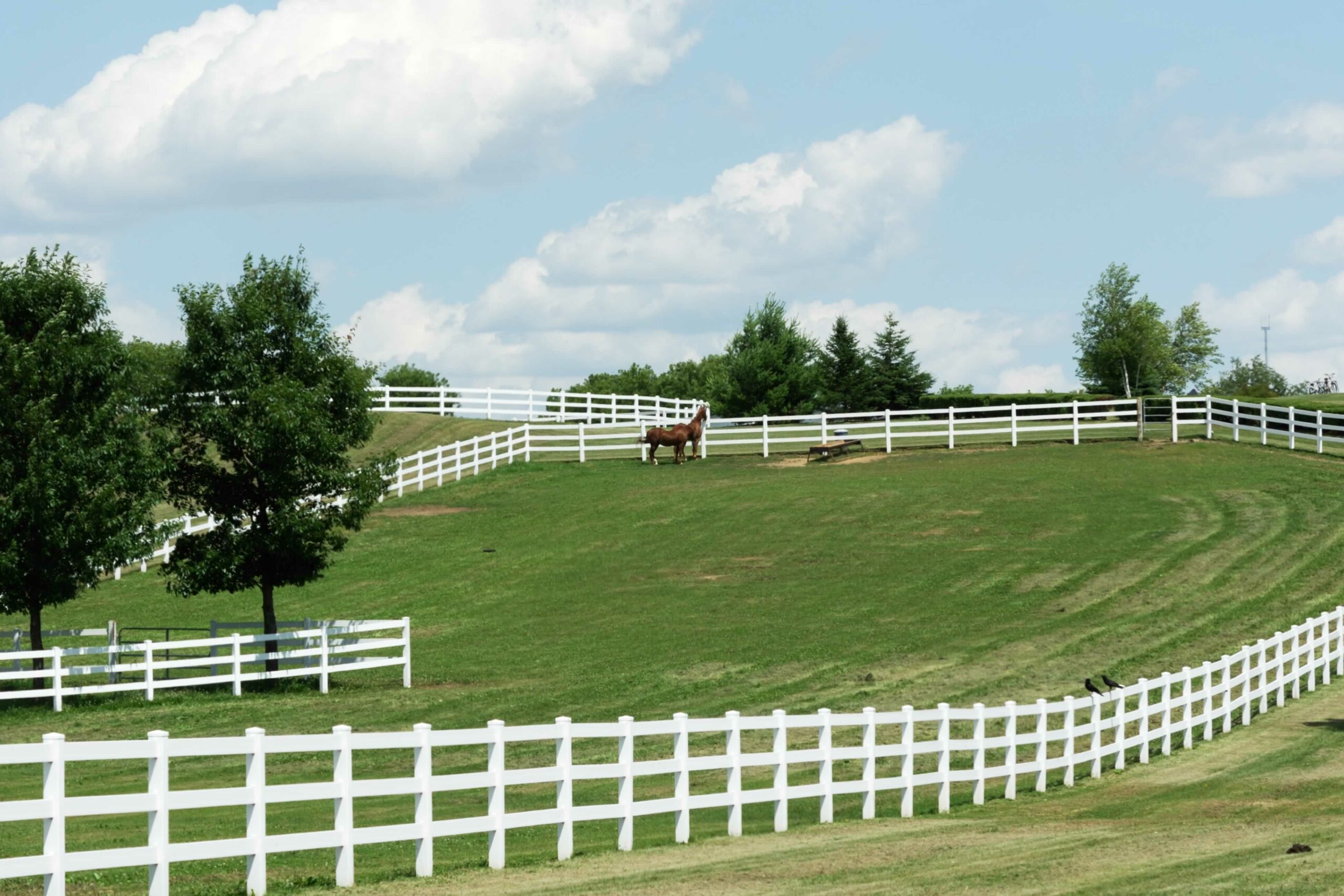Kentucky horse farm in Larue County